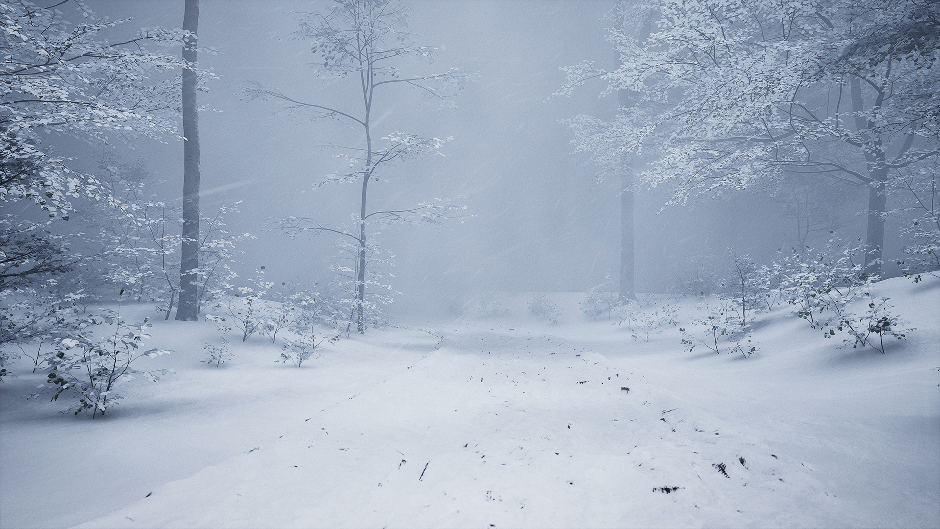 The forest road in deep winter