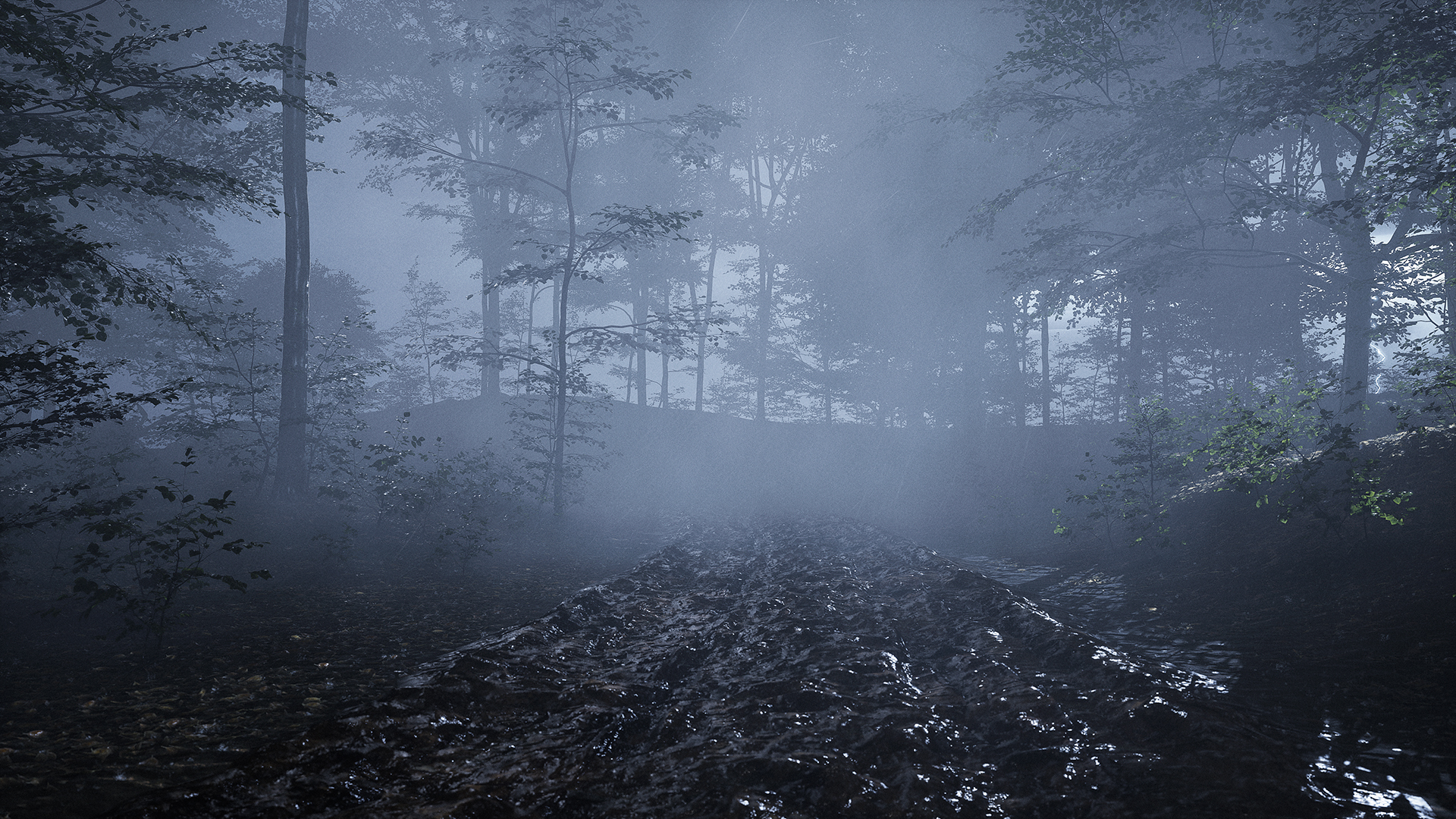 The forest road in a thunderstorm